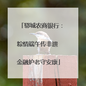 郓城农商银行：粽情端午传非遗 金融护老守安康