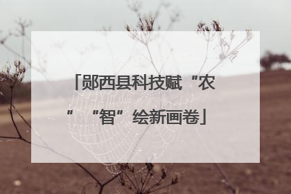 郧西县科技赋“农”“智”绘新画卷