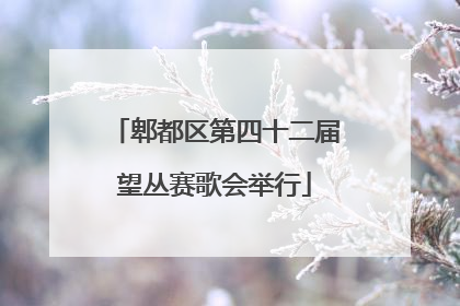 郫都区第四十二届望丛赛歌会举行