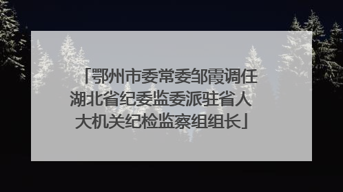 鄂州市委常委邹霞调任湖北省纪委监委派驻省人大机关纪检监察组组长