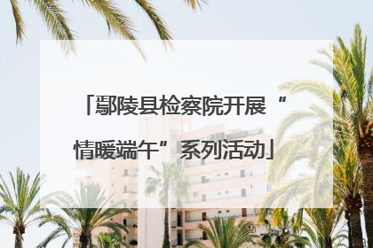 鄢陵县检察院开展“情暖端午”系列活动