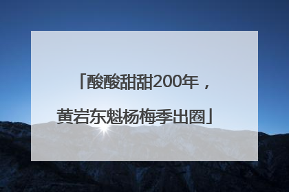 酸酸甜甜200年，黄岩东魁杨梅季出圈