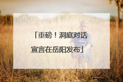 重磅！洞庭对话宣言在岳阳发布