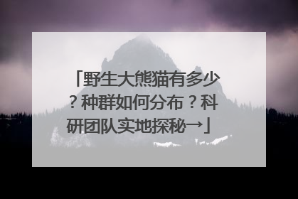 野生大熊猫有多少？种群如何分布？科研团队实地探秘→