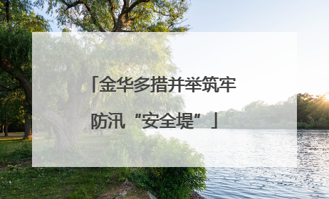 金华多措并举筑牢防汛“安全堤”
