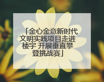 金心金意新时代文明实践项目走进楼宇 开展垂直攀登挑战赛