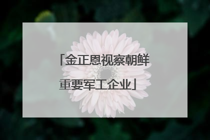 金正恩视察朝鲜重要军工企业