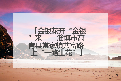 金银花开“金银”来——淄博市高青县常家镇共富路上“一路生花”