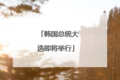 韩国总统大选即将举行