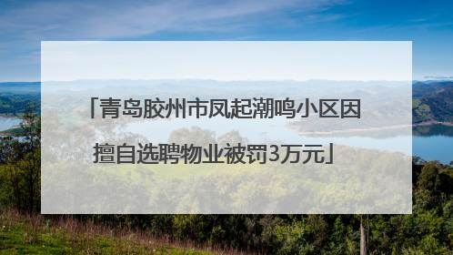 青岛胶州市凤起潮鸣小区因擅自选聘物业被罚3万元