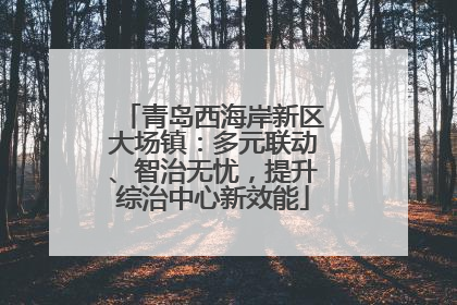 青岛西海岸新区大场镇：多元联动、智治无忧，提升综治中心新效能