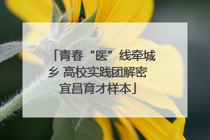 青春“医”线牵城乡 高校实践团解密宜昌育才样本