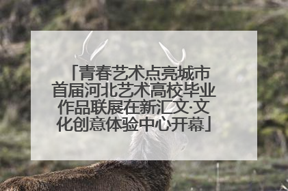 青春艺术点亮城市 首届河北艺术高校毕业作品联展在新汇文·文化创意体验中心开幕