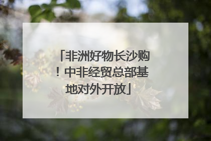 非洲好物长沙购！中非经贸总部基地对外开放