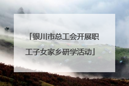 银川市总工会开展职工子女家乡研学活动