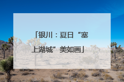 银川：夏日“塞上湖城”美如画