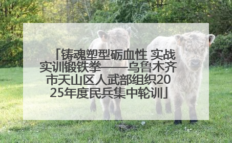 铸魂塑型砺血性 实战实训锻铁拳——乌鲁木齐市天山区人武部组织2025年度民兵集中轮训