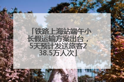 铁路上海站端午小长假运输方案出台，5天预计发送旅客238.5万人次