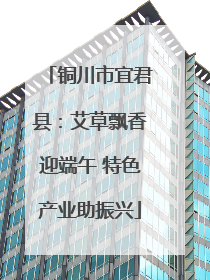铜川市宜君县：艾草飘香迎端午 特色产业助振兴