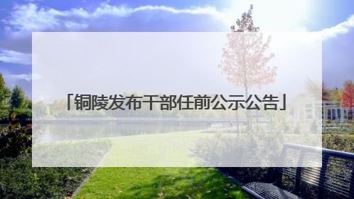 铜陵发布干部任前公示公告