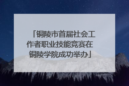 铜陵市首届社会工作者职业技能竞赛在铜陵学院成功举办