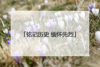 铭记历史 缅怀先烈