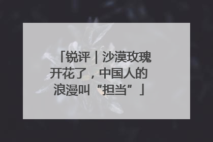 锐评｜沙漠玫瑰开花了，中国人的浪漫叫“担当”