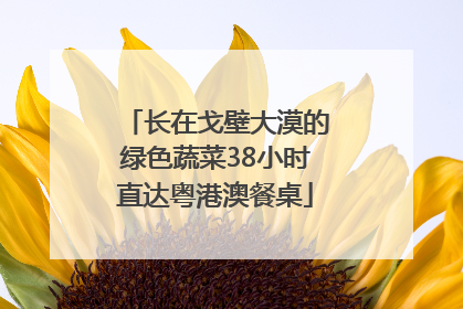长在戈壁大漠的绿色蔬菜38小时直达粤港澳餐桌