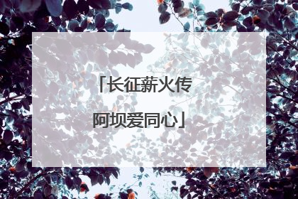 长征薪火传 阿坝爱同心