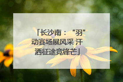 长沙南：“羽”动赛场展风采 汗洒征途竞锋芒