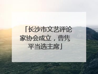 长沙市文艺评论家协会成立，曹隽平当选主席