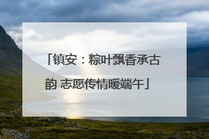 镇安：粽叶飘香承古韵 志愿传情暖端午