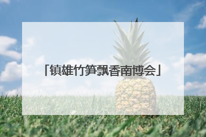 镇雄竹笋飘香南博会