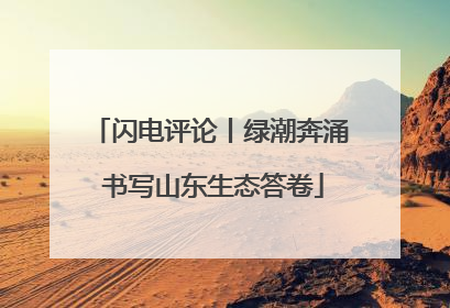 闪电评论丨绿潮奔涌 书写山东生态答卷