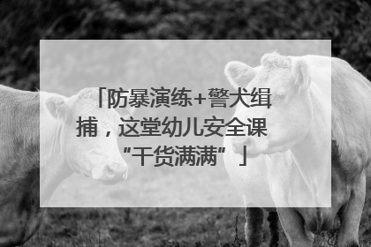 防暴演练+警犬缉捕，这堂幼儿安全课“干货满满”