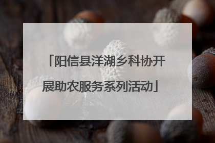 阳信县洋湖乡科协开展助农服务系列活动