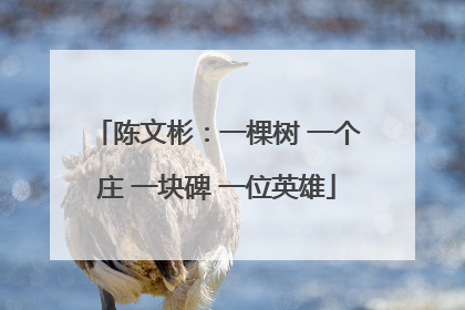 陈文彬：一棵树 一个庄 一块碑 一位英雄