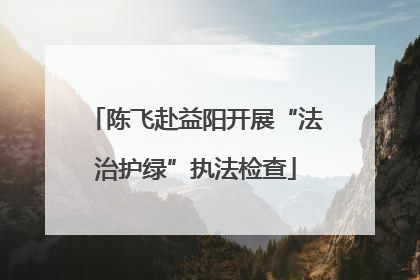 陈飞赴益阳开展“法治护绿”执法检查