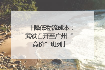 降低物流成本：武铁首开至广州“竞价”班列