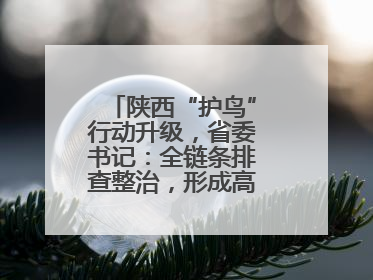 陕西“护鸟”行动升级，省委书记：全链条排查整治，形成高压震慑态势