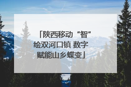 陕西移动“智”绘双河口镇 数字赋能山乡蝶变