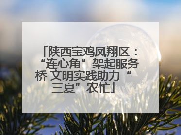 陕西宝鸡凤翔区：“连心角”架起服务桥 文明实践助力“三夏”农忙