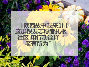陕西故事我来讲丨这群银发志愿者扎根社区 用行动诠释“老有所为”