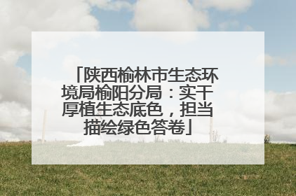 陕西榆林市生态环境局榆阳分局：实干厚植生态底色，担当描绘绿色答卷