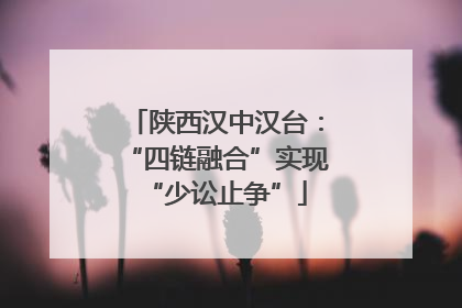 陕西汉中汉台：“四链融合”实现“少讼止争”