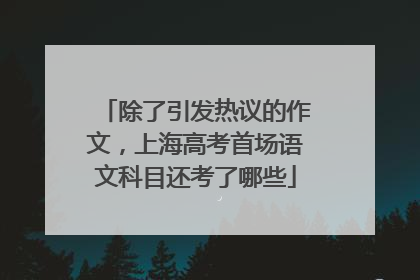 除了引发热议的作文，上海高考首场语文科目还考了哪些