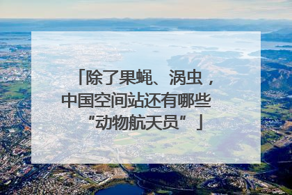 除了果蝇、涡虫，中国空间站还有哪些“动物航天员”