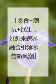 零食+潮玩+民生，好想来跨界融合引领零售新风潮
