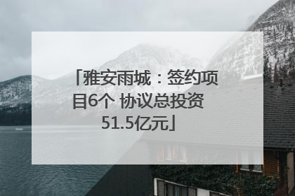 雅安雨城：签约项目6个 协议总投资51.5亿元