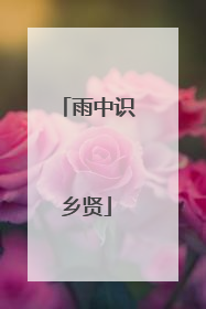 雨中识乡贤